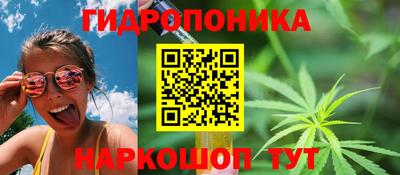 трава Кунгур