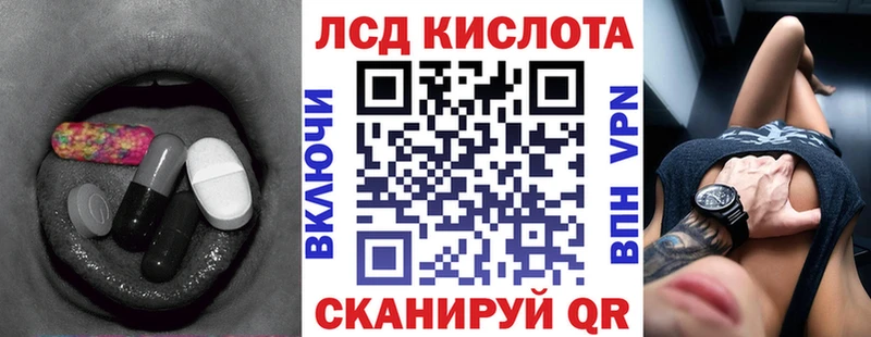 где купить наркоту  Зеленогорск  ЛСД экстази кислота 
