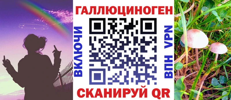 Галлюциногенные грибы Psilocybe  Зеленогорск 
