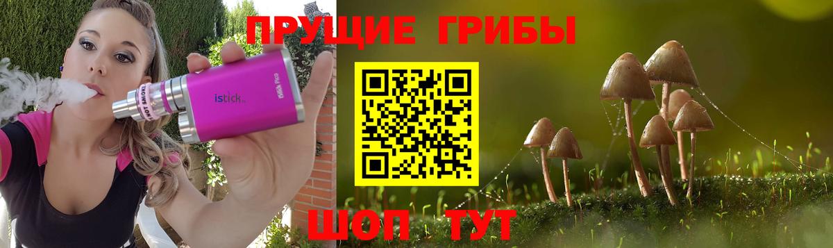 Зеленогорск  купить  цена  Вход с VPN  Псилоцибиновые грибы Magic Shrooms 